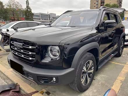 哈弗大狗 2021款 1.5T DCT两驱边牧版