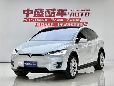 Model X 2019款 标准续航版