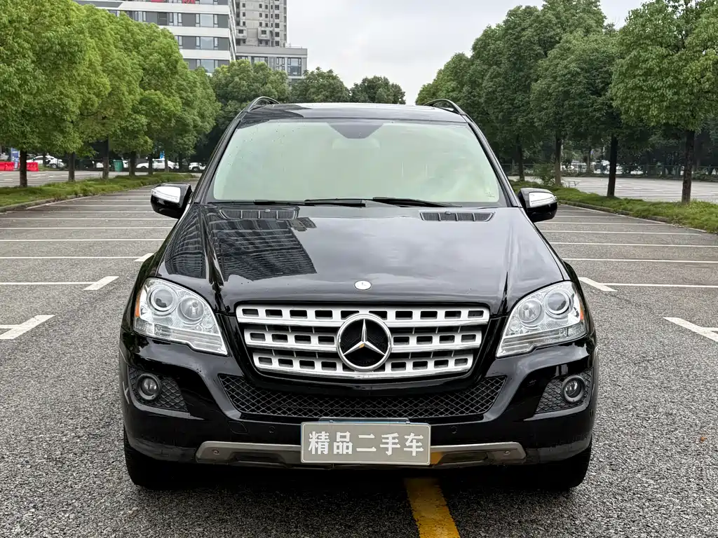 Mercedes-Benz M-Class 2010