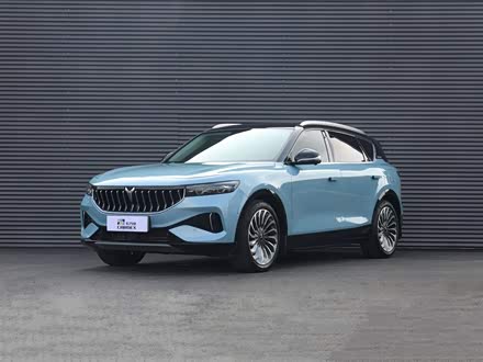 岚图FREE 2021款 四驱标准增程专属豪华套装