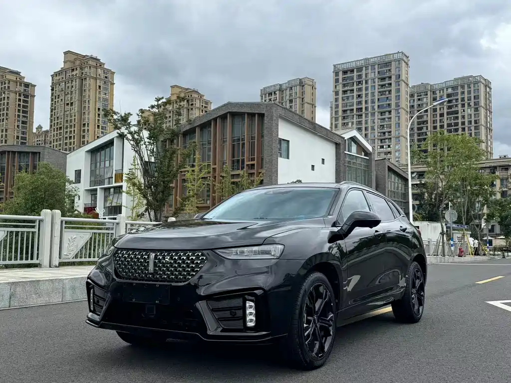 WEI PAI WEI BRAND VV7