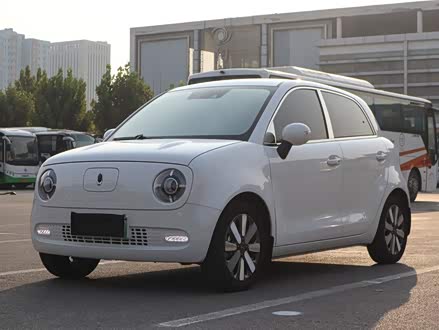 欧拉黑猫 2021款 351km 标准型