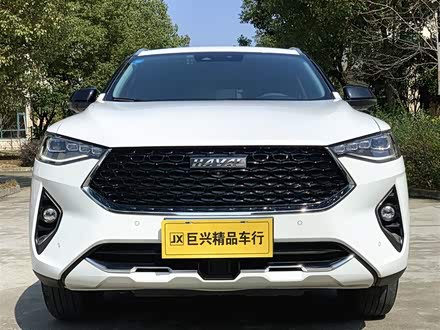 哈弗F7x 2019款 2.0T 两驱极智科技版