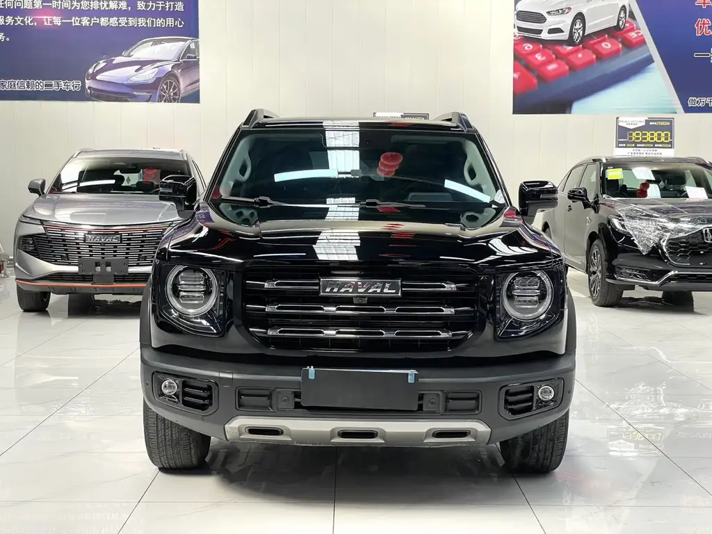 HAVAL  BIG DOG