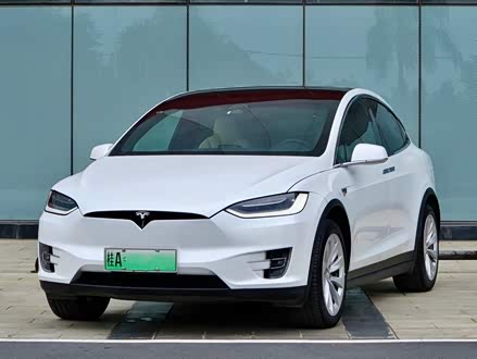 Model X 2019款 长续航版