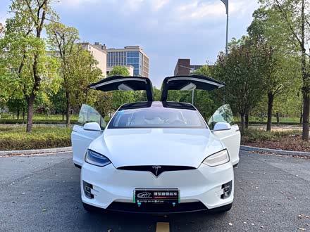 Model X 2017款 Model X 100D 长续航版