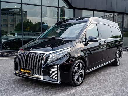 奔驰V级 2021款 V 260 L 长轴距尊贵版
