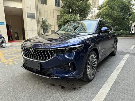 岚图FREE 2021款 四驱标准增程版