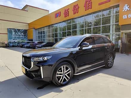 奔腾T99 2022款 20TD 自动尊贵型