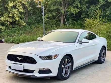 Mustang 2015款 2.3T 50周年纪念版