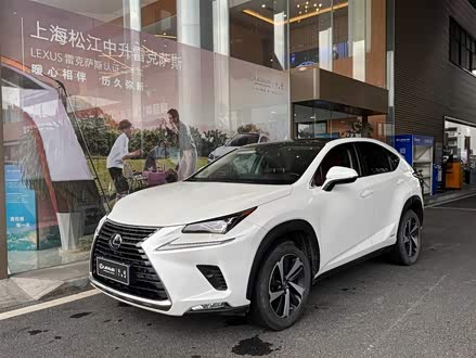 雷克萨斯NX 2020款 300h 前驱 智·混动特别限量版