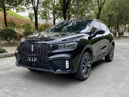 魏牌 VV5 2020款 1.5T 两驱潮先锋