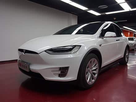 Model X 2017款 Model X 100D 长续航版