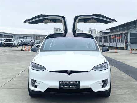 Model X 2017款 Model X 100D 长续航版