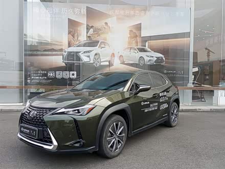 雷克萨斯UX新能源 2020款 300e 纯·享版