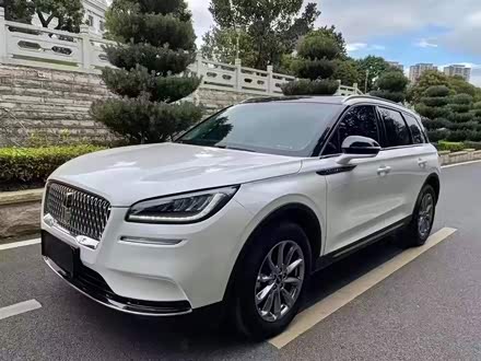 冒险家 2020款 2.0T 两驱尊享版