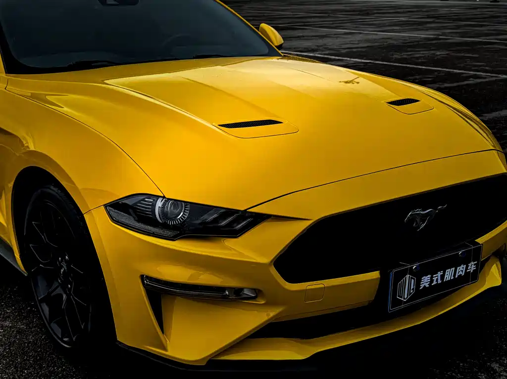 FORD MUSTANG