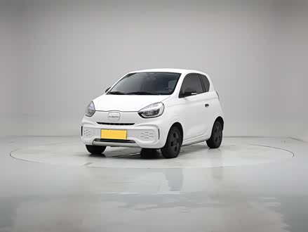 科莱威CLEVER 2021款 302km卓越版