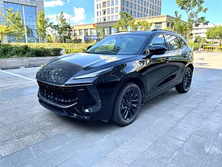 风行T5 EVO 2021款 1.5TD DCT荣耀版