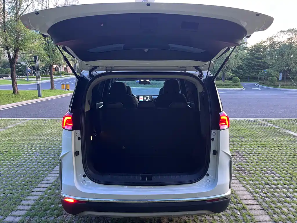 SAIC MAXUS CHASE G50