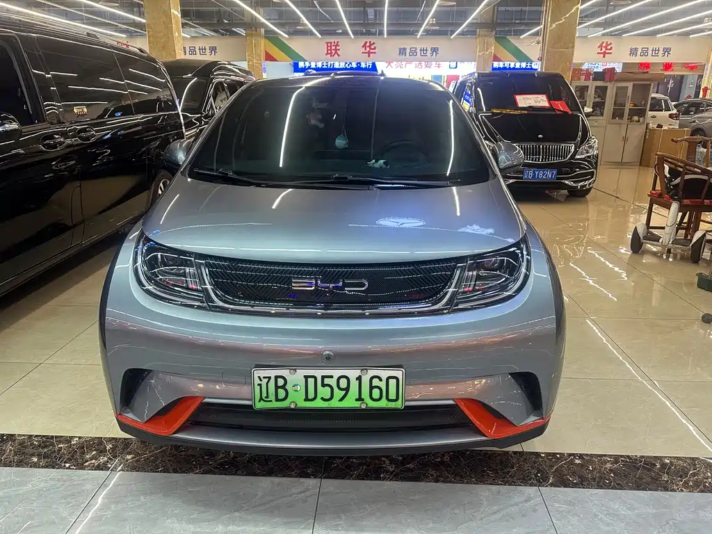 BYD DOLPHIN
