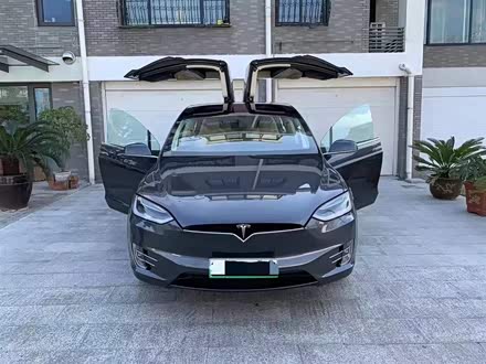 Model X 2017款 Model X 100D 长续航版