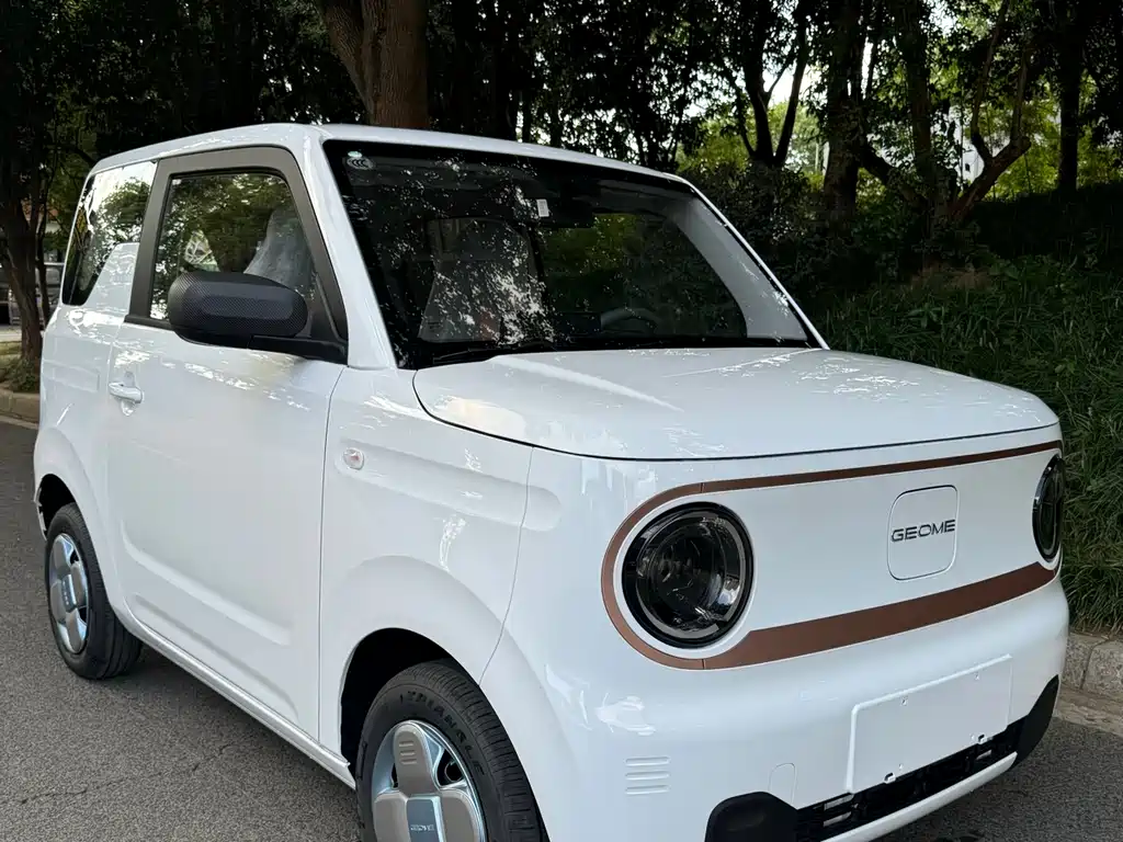 GEELY GALAXY PANDA