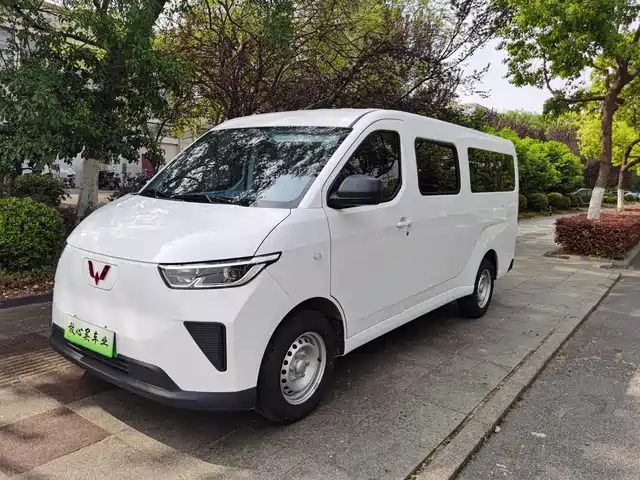 WULING AUTOMOBILE WULING YANGGUANG 2025