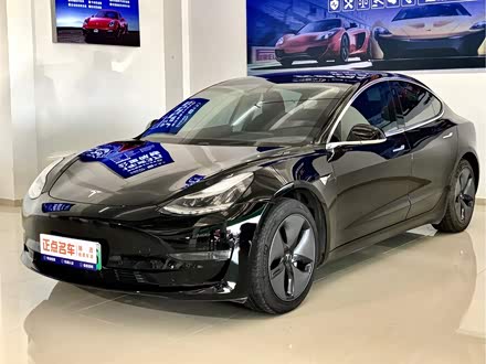 Model 3进口 2019款 长续航后驱版