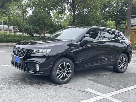 魏牌 VV5 2020款 1.5T 两驱潮先锋