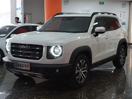 哈弗大狗 2021款 1.5T DCT两驱边牧版