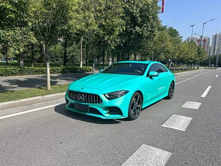 奔驰CLS 2020款 CLS 300 动感型