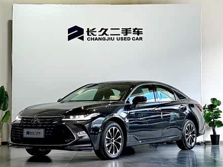 亚洲龙 2023款 双擎 2.5L 豪华版