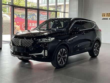 魏牌 VV6 2021款 2.0T 两驱智享+