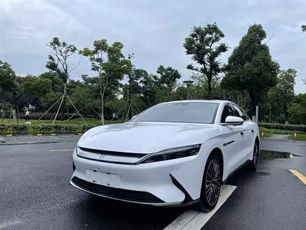 汉 2021款 EV 标准续航版豪华型