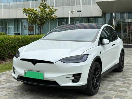 Model X 2020款 长续航升级版