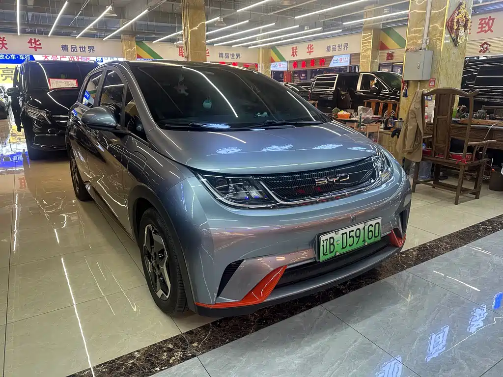 BYD DOLPHIN