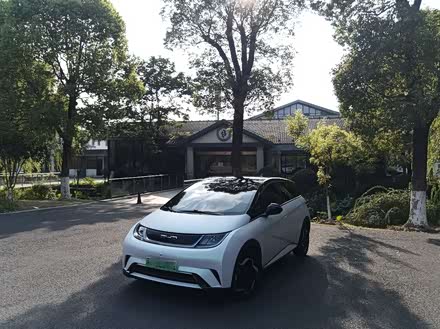 海豚 2021款 405km 时尚版