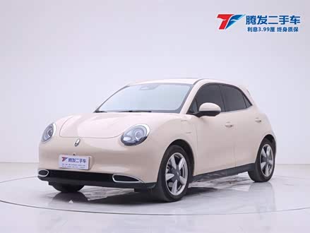 欧拉好猫 2022款 莫兰迪版 400km标准续航 尊贵型 磷酸铁锂