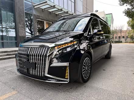 奔驰V级 2022款 V 260 L 长轴距豪华版