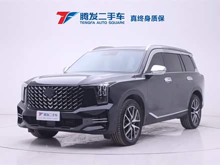 传祺GS8 2022款 领航系列 2.0TGDI 两驱尊贵版（七座）