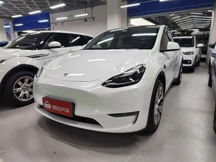 Model Y 2021款 标准续航后驱版