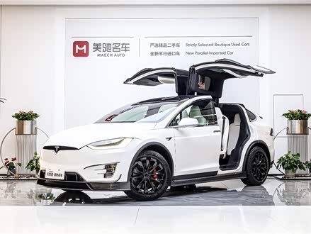 Model X 2016款 Model X P100D Performance高性能版