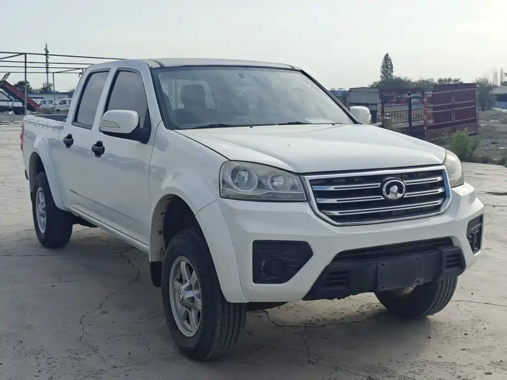 GREAT WALL FENGJUN 5