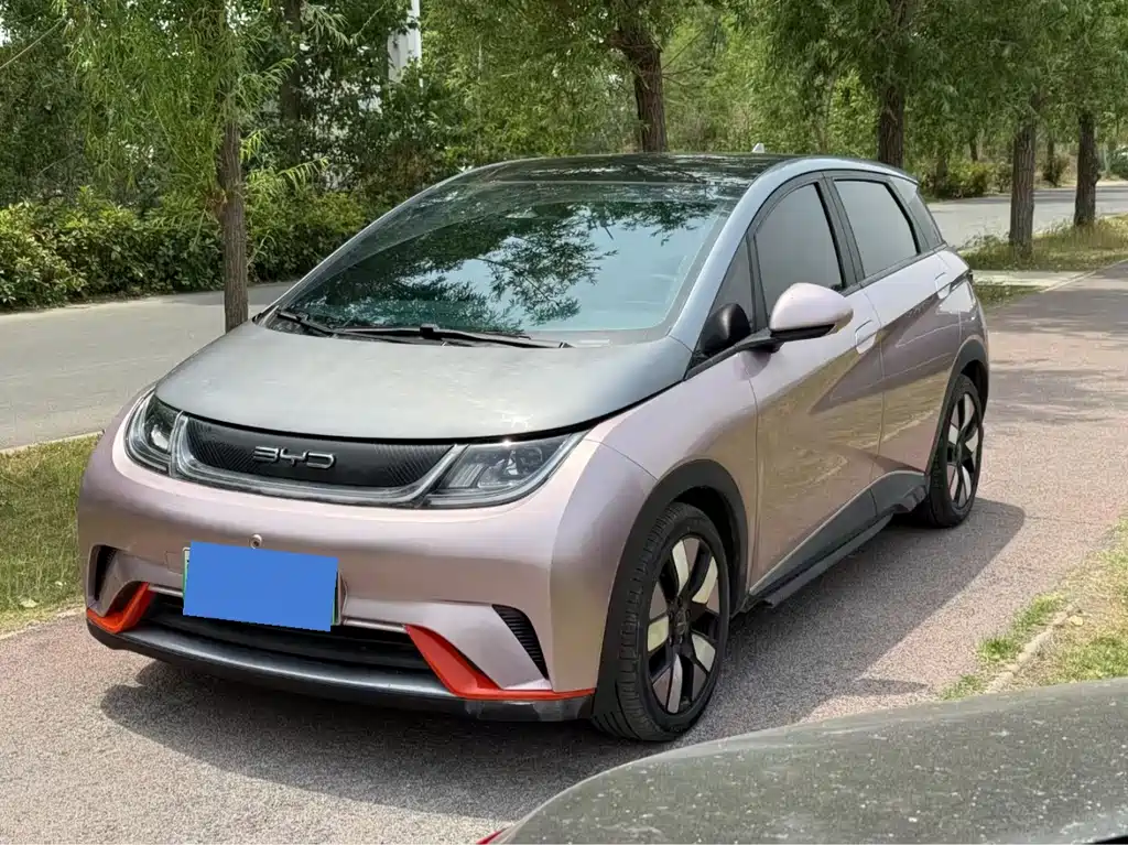 Дельфин 2021 года выпуска, 401 км, рыцарская версия 17400 km 2022