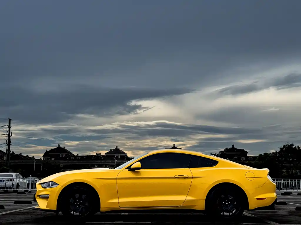 FORD MUSTANG