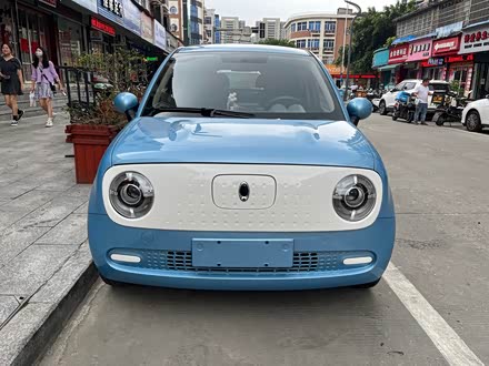 欧拉黑猫 2021款 301km 萌宠版