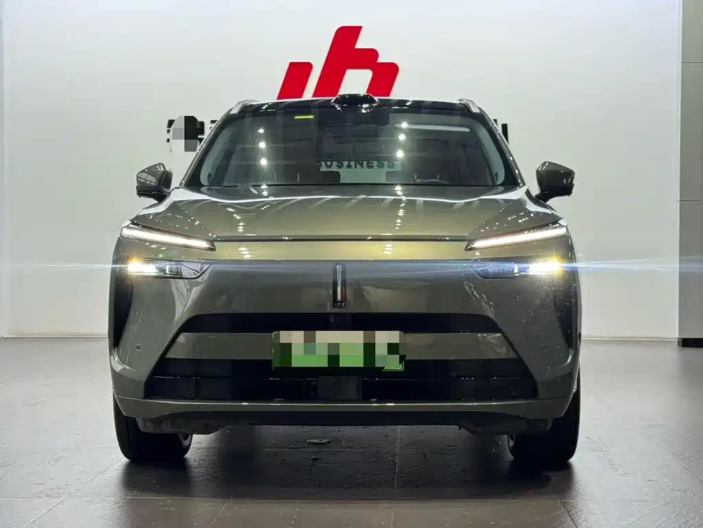 WEI PAI WEI BRAND BLUE MOUNTAIN