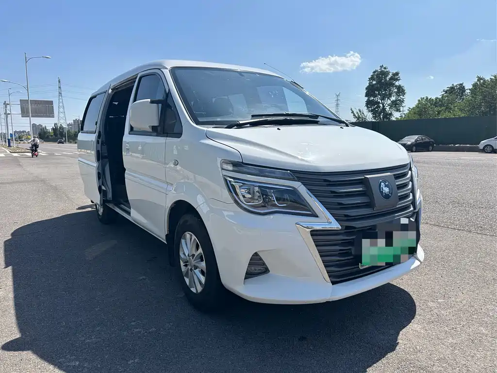 DONGFENG LINGZHI NEW ENERGY