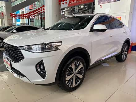 哈弗F7x 2019款 2.0T 两驱极智潮玩版